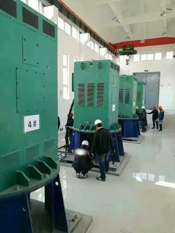 潭门镇某污水处理厂使用我厂的立式高压电机安装现场