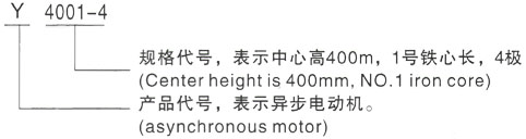 西安泰富西玛Y系列(H355-1000)高压潭门镇三相异步电机型号说明